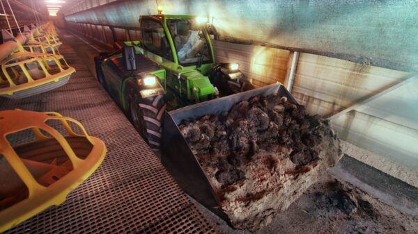 Merlo TF 65.9 - obrazek 7