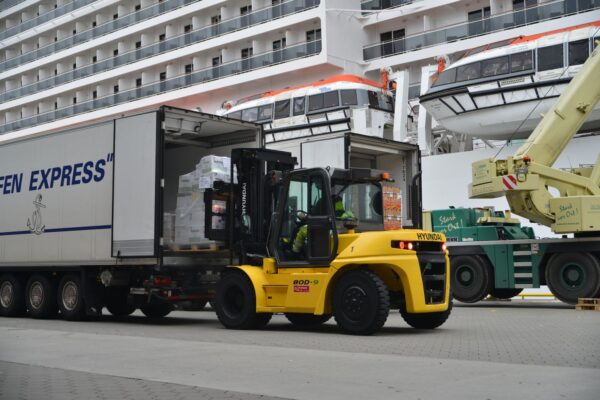 Hyundai - 7000 - 9000 kg - Seria 9V - obrazek 17