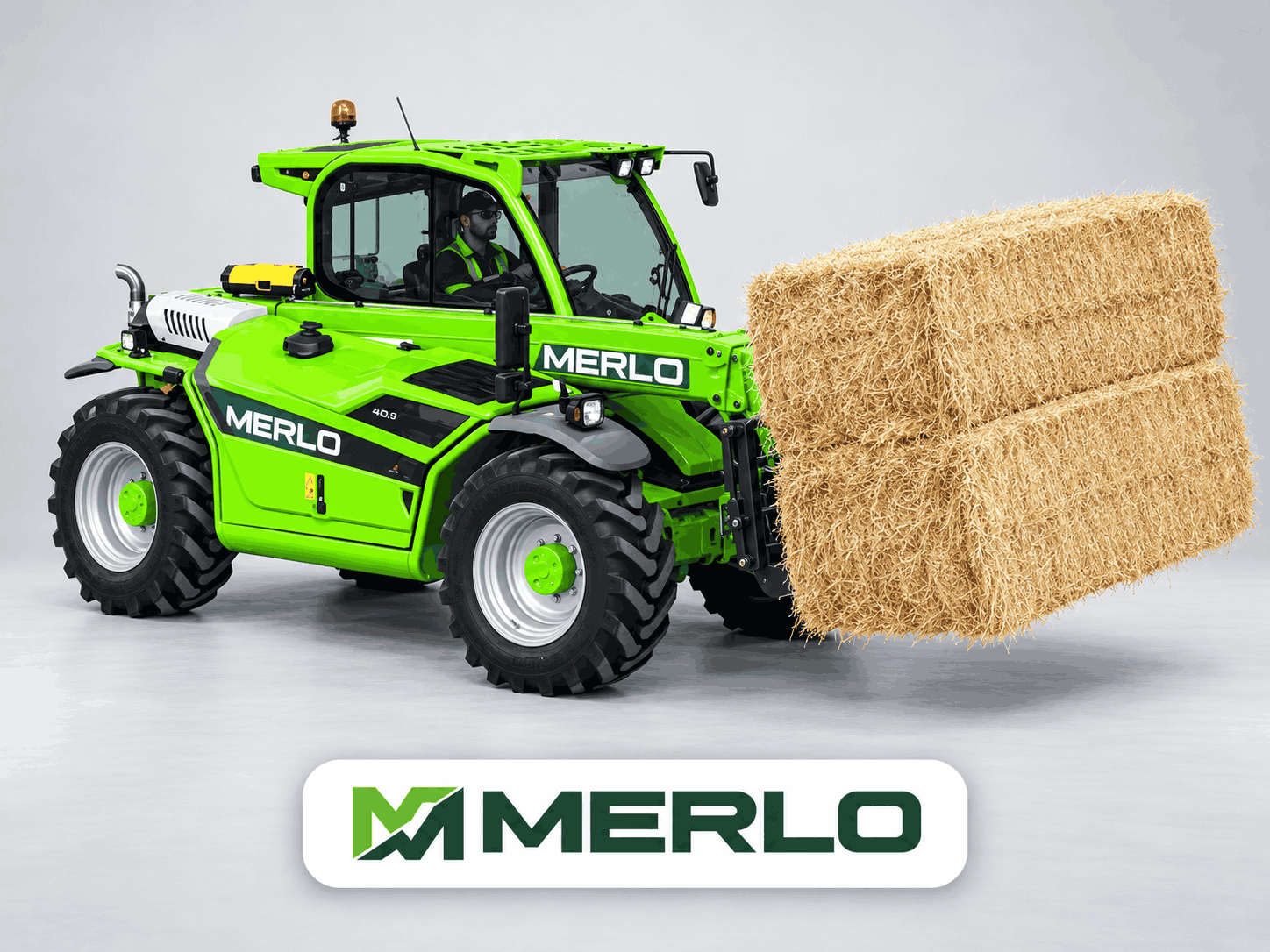 05_Merlo